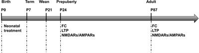 Repetitive Pain in Neonatal Male Rats Impairs Hippocampus-Dependent Fear Memory Later in Life